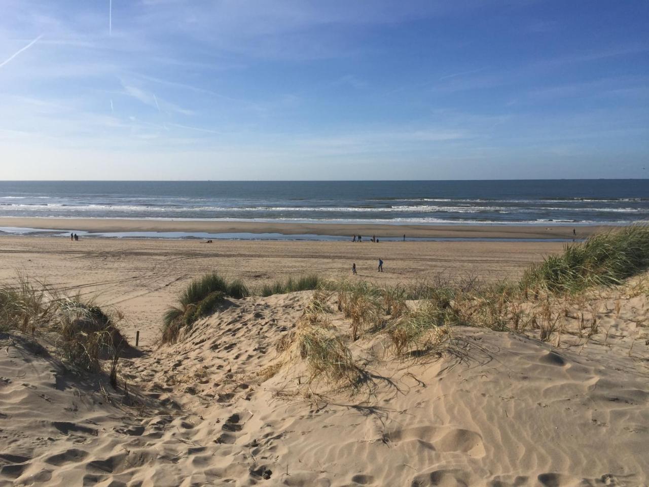 Duynsandt Zandvoort Dış mekan fotoğraf